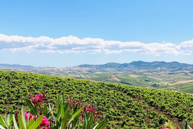 Picnic in an organic winery in Alcamo - Who Will Enjoy This Tour the Most?