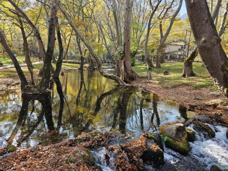Picnic in Nature & Video + Photoshoot  Agios Nikolaos, Naoussa - Exploring Agios Nikolaos and Naoussas Natural Charm