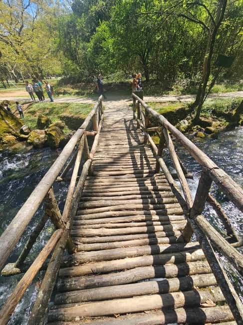 Picnic in Nature & Video + Photoshoot  Agios Nikolaos, Naoussa - Professional Photo & Video Shoot in the Woods