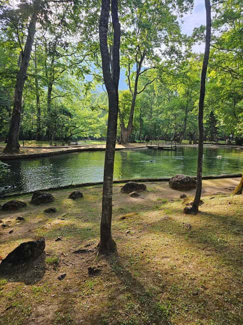 Picnic in Nature & Video + Photoshoot  Agios Nikolaos, Naoussa - Fun and Engaging Nature Games