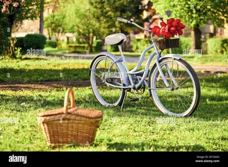 Picnic in the middle of olive groves by e-bike - Physical Requirements and Considerations