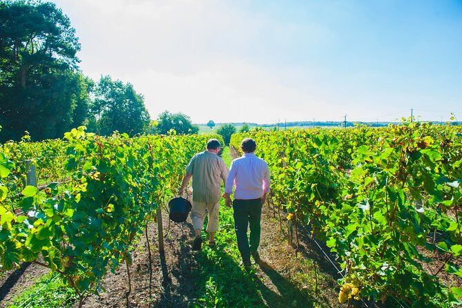 Picnic in the Vines - A Unique Loire Wine Experience - Visiting Château du Petit Thouars in Chinon
