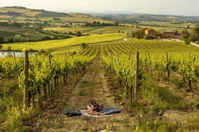 Picnic in vineyards with Bottle of Brunello di Montalcino - Practical Information and Booking Flexibility