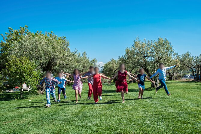 Picnic on the lawn -aromatic garden and winery - Walking Tour Through Vineyards and Olive Groves