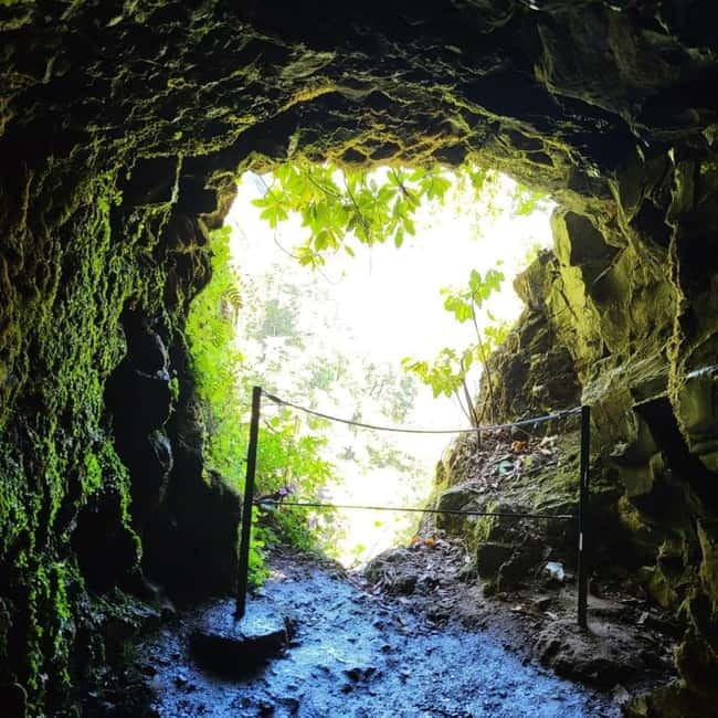 Pico Arieiro, Santana, São Lourenço & more  Full Day+PickUp - Comfortable Return to Funchal