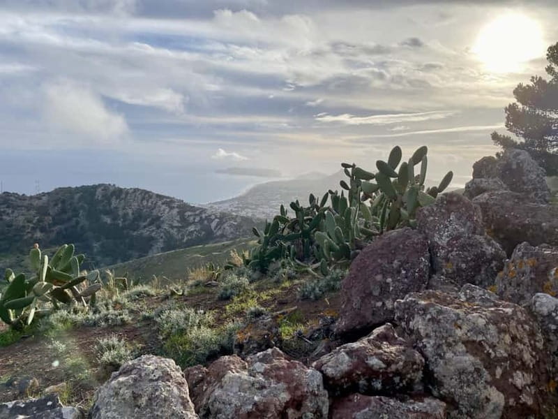 Pico Castelo & Pico Facho Vereda: Walk with Spectacular View - Walking the Central Mountains of Porto Santo