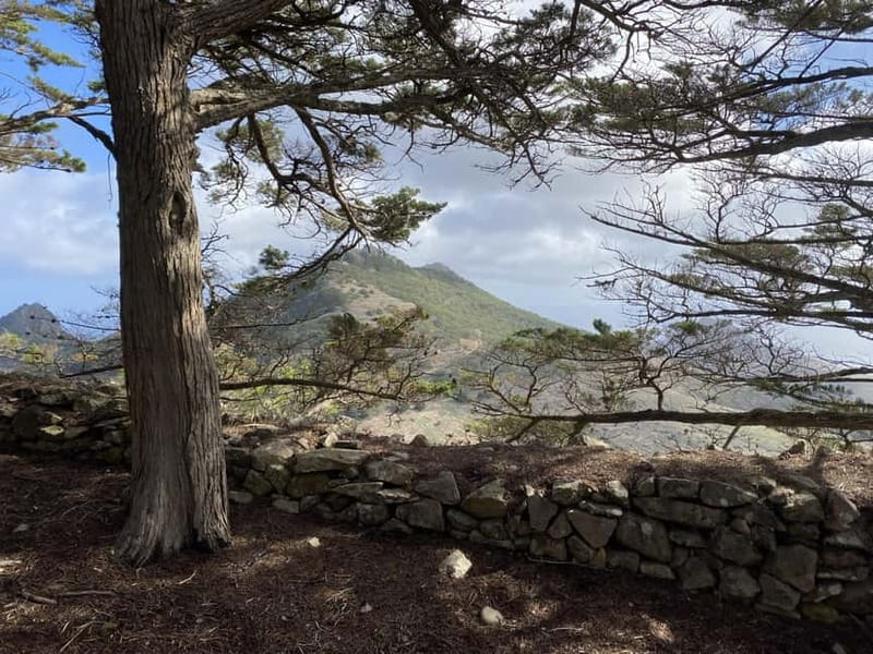 Pico Castelo & Pico Facho Vereda: Walk with Spectacular View - Logistics and Convenience of Pickup and Drop-off