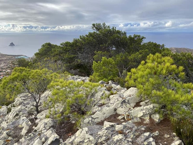 Pico Castelo & Pico Facho Vereda: Walk with Spectacular View - The Expertise and Approach of Portosantowalks