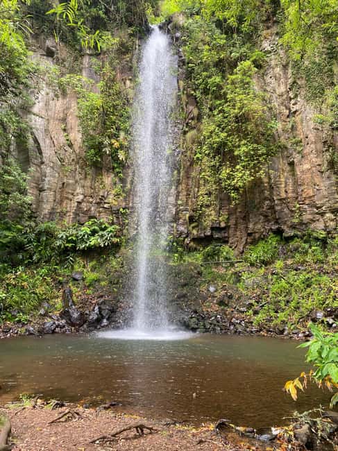 Pico do Areeiro to Ponta São Lourenço: East 4x4 Expedition - Who Should Consider This Tour?