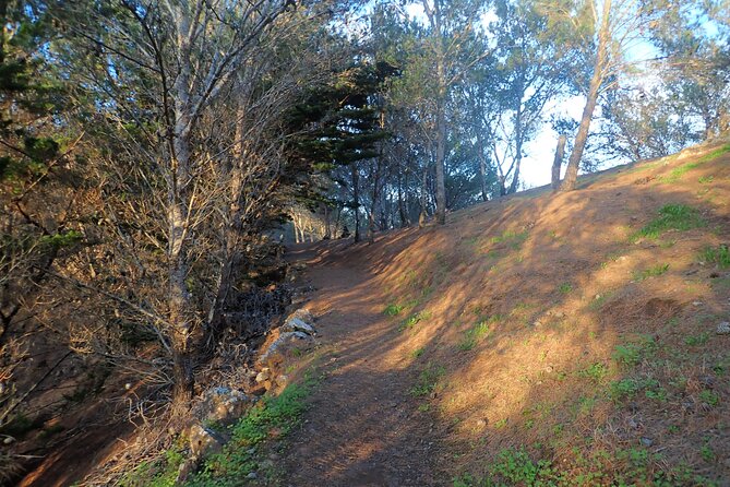 Pico do Facho Panoramic Trail - Explore Porto Santo from the Pico do Facho Perspective