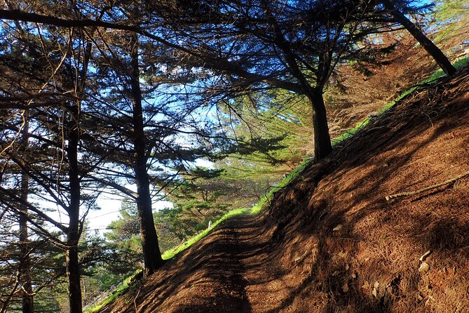 Pico do Facho Panoramic Trail - Key Points