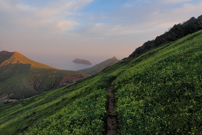 Pico do Facho Panoramic Trail - What the Guide Brings to the Experience