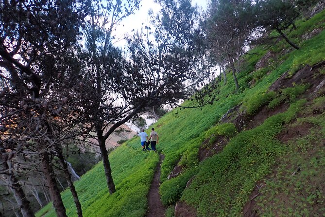 Pico do Facho Panoramic Trail - Unique Features: Pet and Family Friendly
