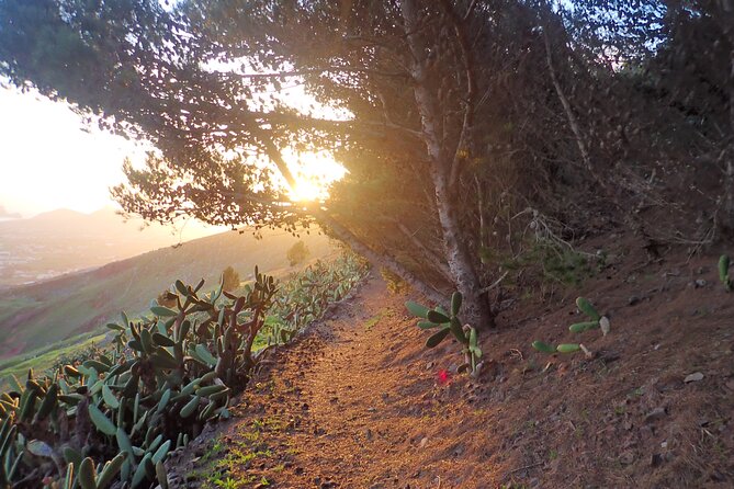 Pico do Facho Panoramic Trail - The Experience Provider and Support
