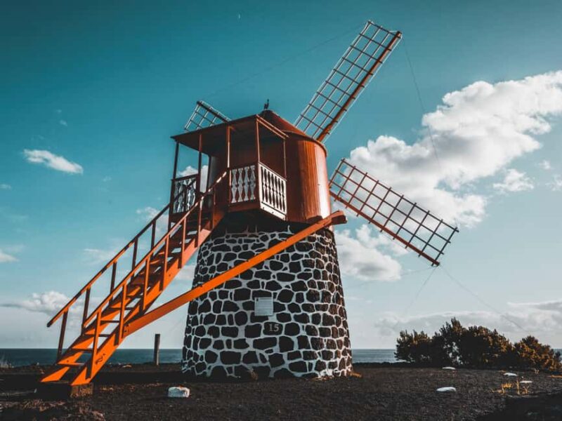 Pico Island: Full Day Wine Culture Tour - Exploring a Regional Wine Cooperative