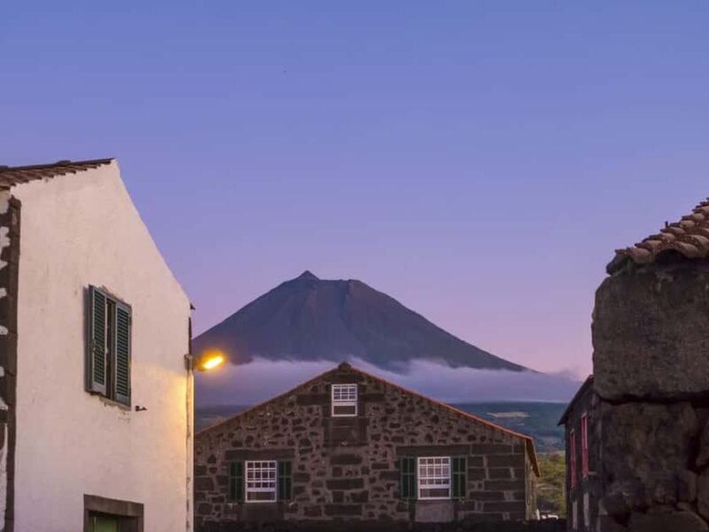 Pico Island: Full Day Wine Culture Tour - Sampling Pico’s Finest Wines at a Local Adega