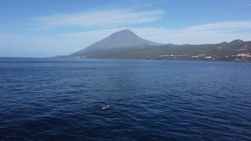 Pico island: guided kayak and snorkel tour - Discover Pico’s Coastline on a Guided Kayak and Snorkel Tour