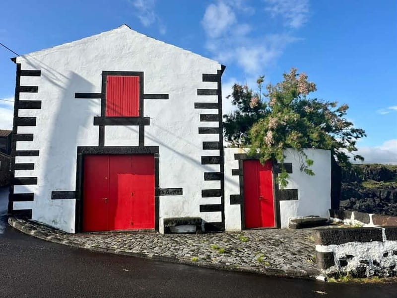 Pico island: highlights, wine tasting and local gastronomy - Strolling through Criacao Velha and Sampled Vineyards