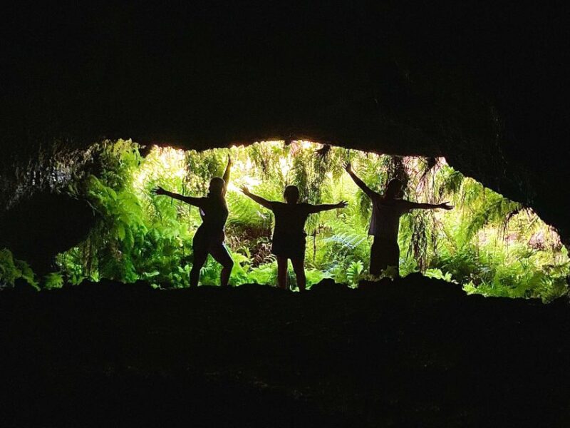 Pico island: highlights, wine tasting and local gastronomy - Practical Details: Transportation, Group Size, and Tips