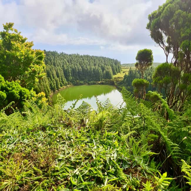 Pico Island: Lagoons and Mysterious Lava Tunnels Guided Tour - Scenic Stops and Photo Opportunities