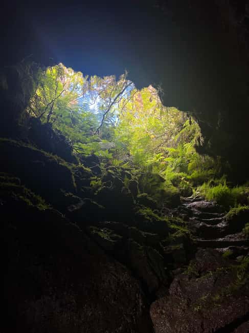 Pico Island: Lagoons and Mysterious Lava Tunnels Guided Tour - The Guide’s Role and Experience