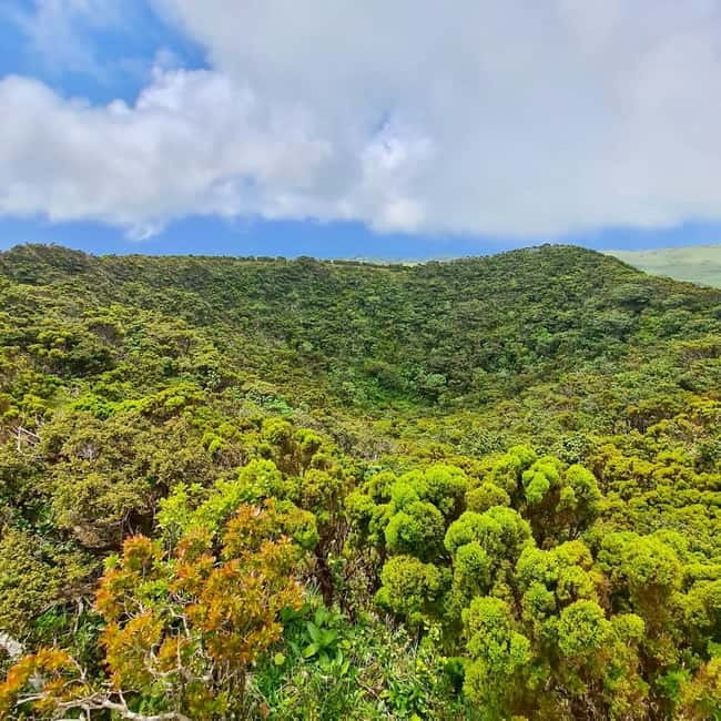 Pico Island: Lagoons and Mysterious Lava Tunnels Guided Tour - Who Should Choose This Tour