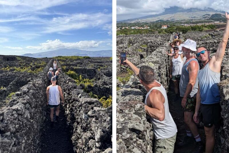 Pico Island: Private Highlights Tour - Flexibility and Personalization in Your Private Tour