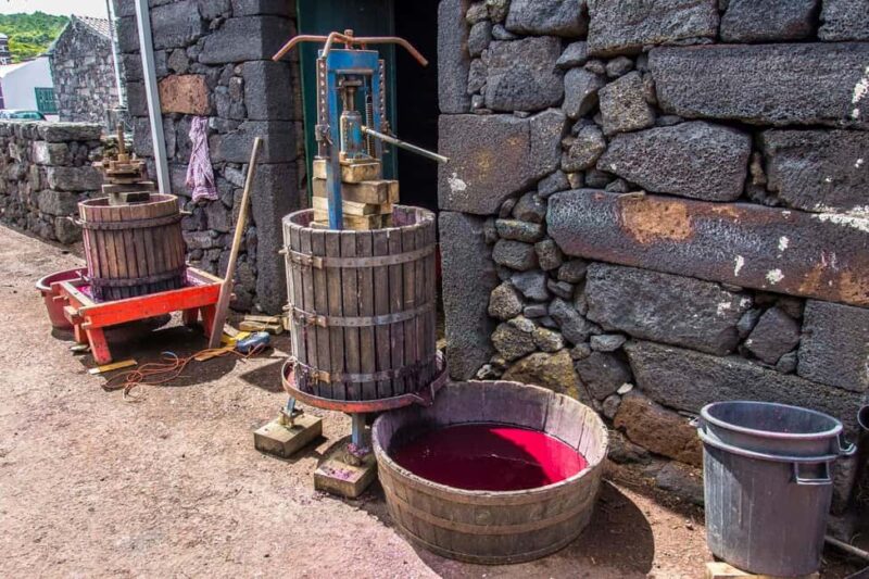 Pico Island: Wine and Vineyards Tour with Tasting - Discovering Abandoned Wine Cellars on the Coast