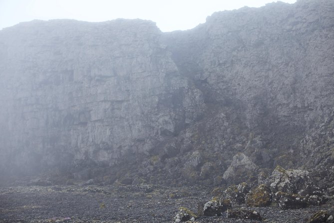 Pico Mountain Climbing private tour - with round trip from Faial - The Mountain Flora and Its Unique Presence