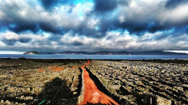 Pico Wine Tour: Get to know Pico's wines - Key Points