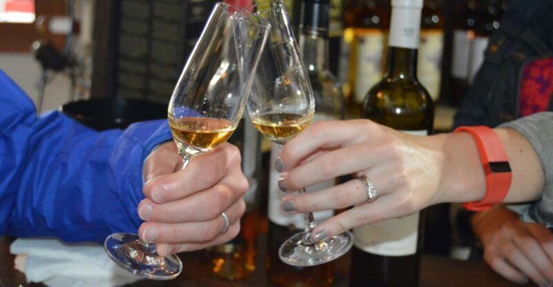 Pico Wine Tour: Get to know Pico's wines - Departure Point and Tour Logistics in Madalena