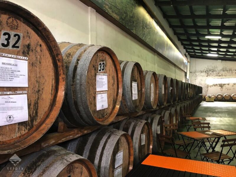 Pico Wine Tour: Get to know Pico's wines - Visiting the Museum and Interpretive Centre