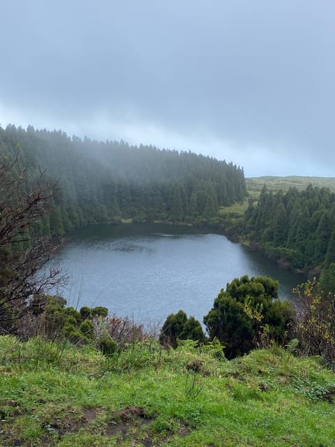 Pico Wine Tours - Exploring Lava Tubes and Volcanic Craters