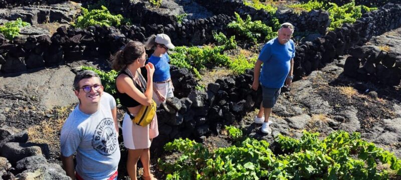 Pico Wine Tours - Relaxing at the Whale Museum and Local Villages