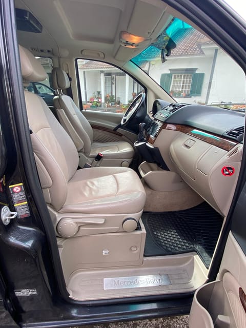 Pico Wine Tours - Who Would Enjoy This Tour Most?