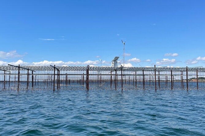 Picpoul de Pinet Tour - Half Day Oysters and Wines - Exploring the Domaine Saint-Andre Wine Estate