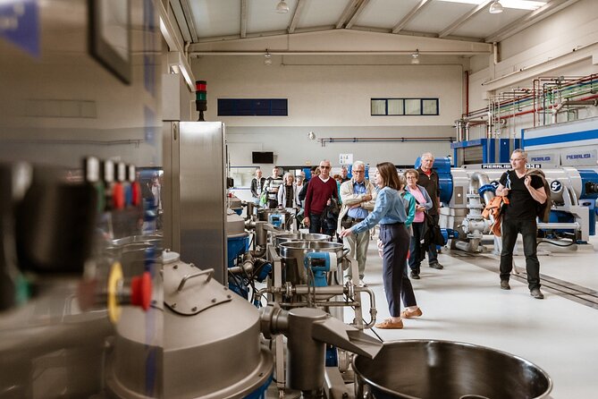 Picualia, visit the oil mill & EVOO tasting - Group Size, Timing, and Accessibility