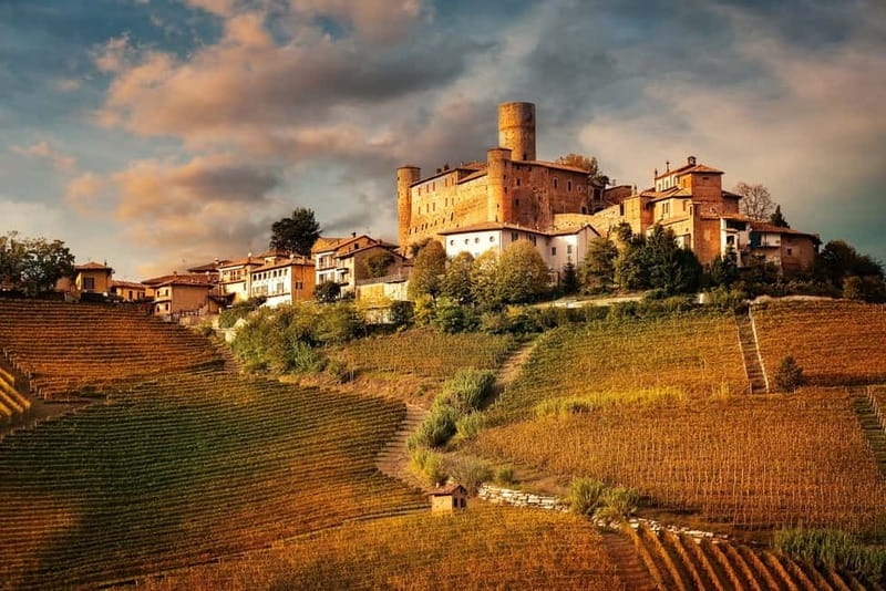Piedmont: Winery Tour, Taste Barolo, Barbaresco & Local Food - Exploring the Historic Cellars and Winemaking Secrets
