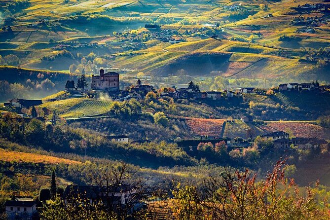 Piedmont Winery Tour: Taste Barolo, Barbaresco & Traditional Food - Local Olive Oil and Additional Tastings