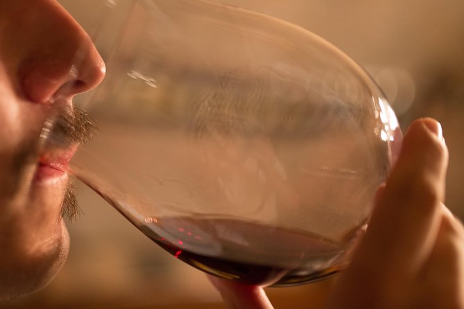 Piedmont Winery Tour: Taste Barolo, Barbaresco & Traditional Food - Guide Expertise and Visitor Interactions