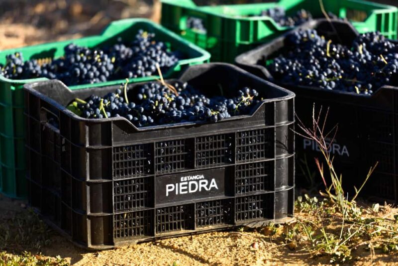 Piedra experience, discovering Spain's oldest wine - Explore Spain’s Oldest Vineyard and Winemaking in Toro