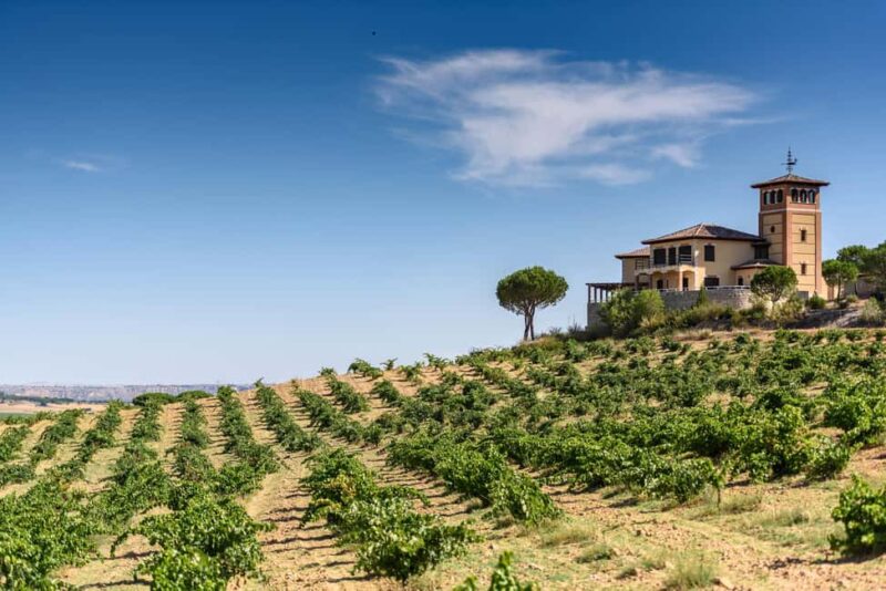 Piedra experience, discovering Spain's oldest wine - The Heritage of a 1967 Vineyard in Toro