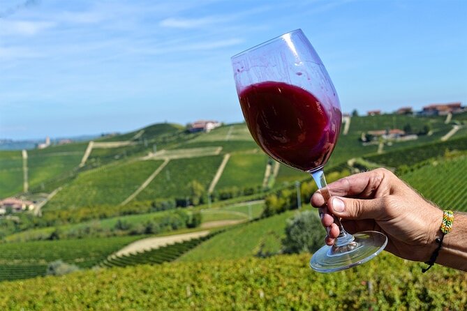 Piemonte Vineyards by Yourself from Turin - Business Car with English Chauffeur - Explore Piemonte Vineyards with a Private Chauffeur from Turin