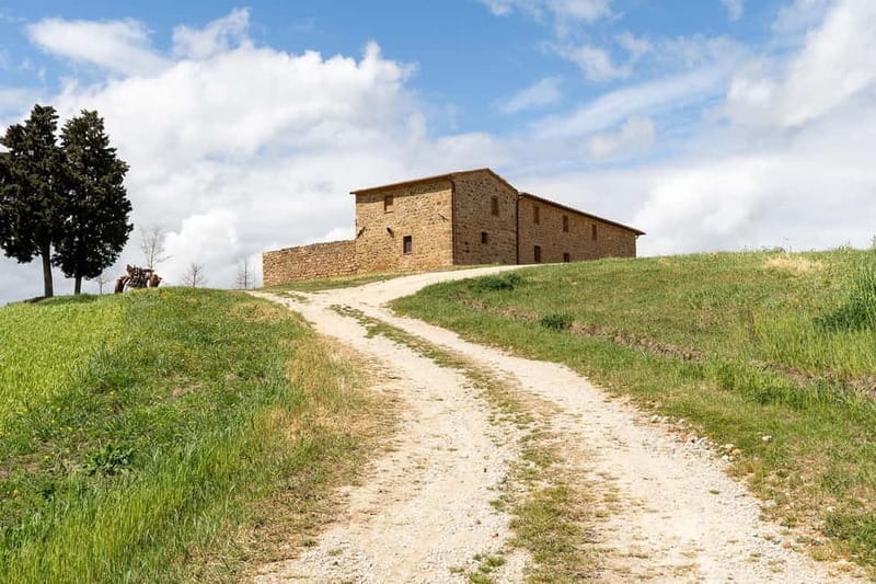 Pienza: guided tasting of Orcia DOC wine and organic EVO oil - Key Points