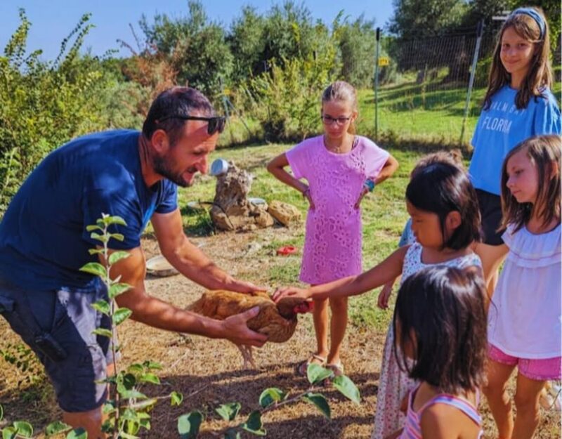 Pienza: Sheep and Chickens Tour w/Gourmet Lunch at Farmhouse - Pienza: Sheep and Chickens Tour with Gourmet Lunch at a Historic Farmhouse