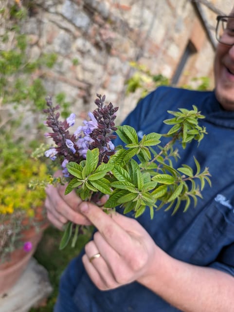 Pienza: Typical Gourmet Lunch at Ancient Tuscan Farmhouse - Pienza: Typical Gourmet Lunch at Ancient Tuscan Farmhouse