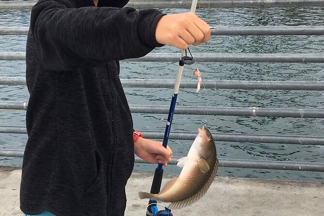 Pier Fishing Tour - San Diego - San Diego Pier Fishing: An Economical Introduction to Bay Angling