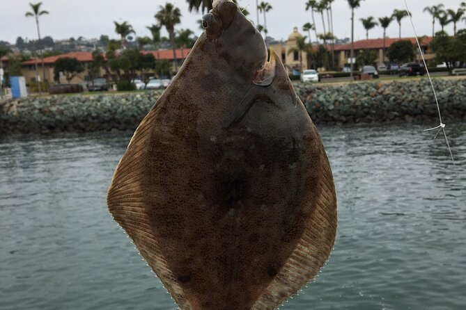 Pier Fishing Tour - San Diego - Included Gear and Equipment