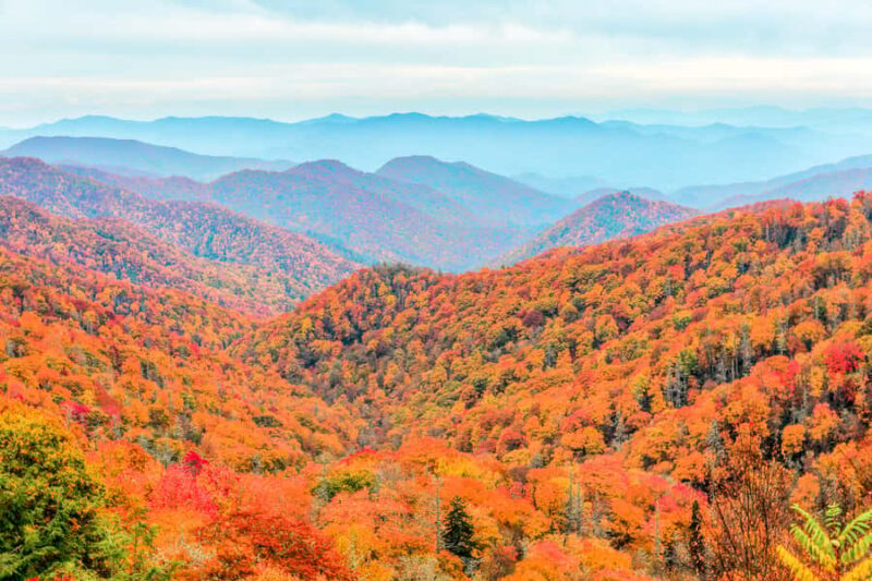 Pigeon Forge: Cade's Cove Culture and History Driving Tour - Historic Buildings and Pastoral Landscapes
