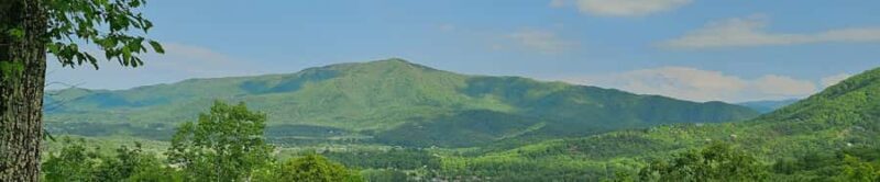 Pigeon Forge: Highlights of the Smokies Tour - Physical Requirements and Accessibility